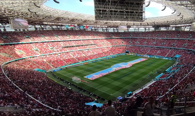 化训练计划 化训练计划