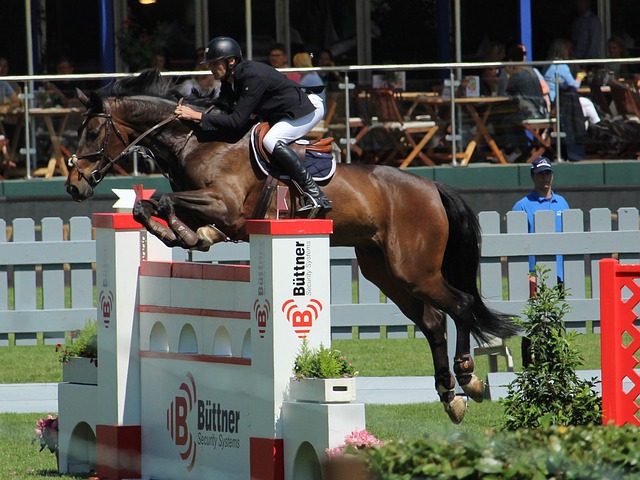 持强势的原 持强势的原